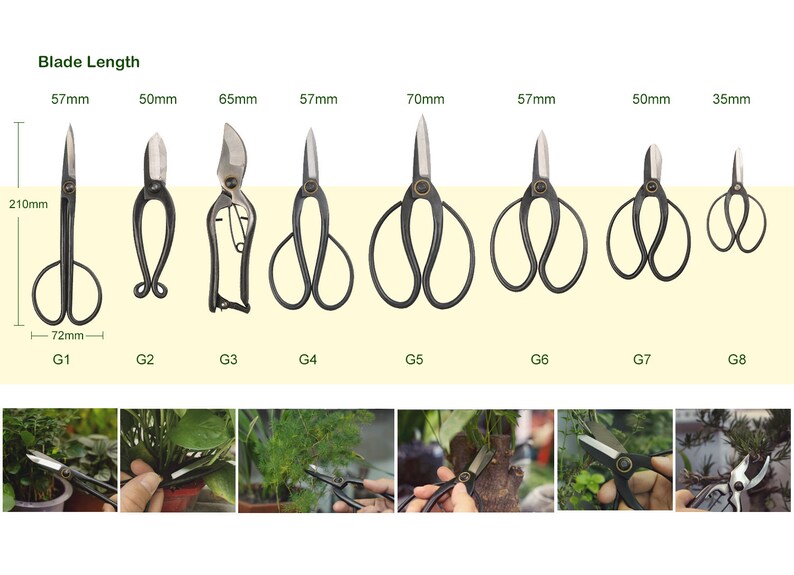 ZhenSanHuan Forged Gardening Scissors, Flower Twig Shears